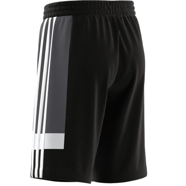 3-stripes Colorblock shorts
